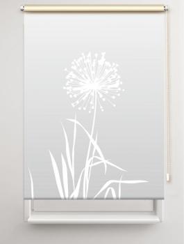 Rollo Allium 24 lichtgrau, Rollo, Motivrollo, Rollo mit Druck, Fotorollo, bedrucktes Rollo, Fensterrollo,verdunkelndes Rollo, Sonnenschutz Rollo